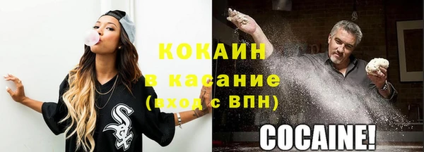 гашик Алзамай