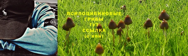 наркотики Алексеевка