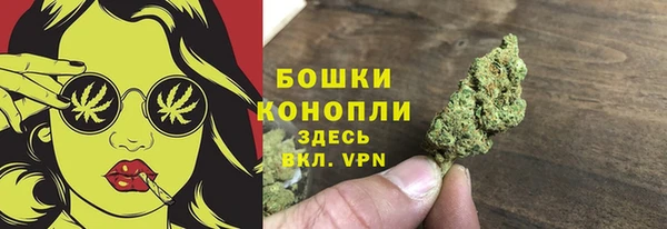 Альфа ПВП Снежногорск